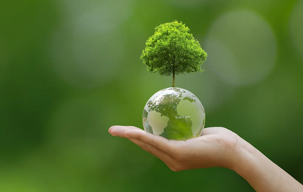 Hand holding a small globe with a tree growing from it against a green background, symbolizing environmental sustainability and climate care.